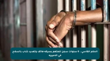 الحكم القاسي.. 6 سنوات سجن للمتهم بسرقة هاتف وتهديد شاب بالسلاح في الأميرية